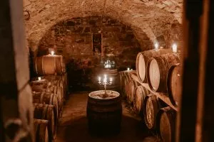 20190530 Vinresa Goriska Brda Vipava Istra Kras 1002