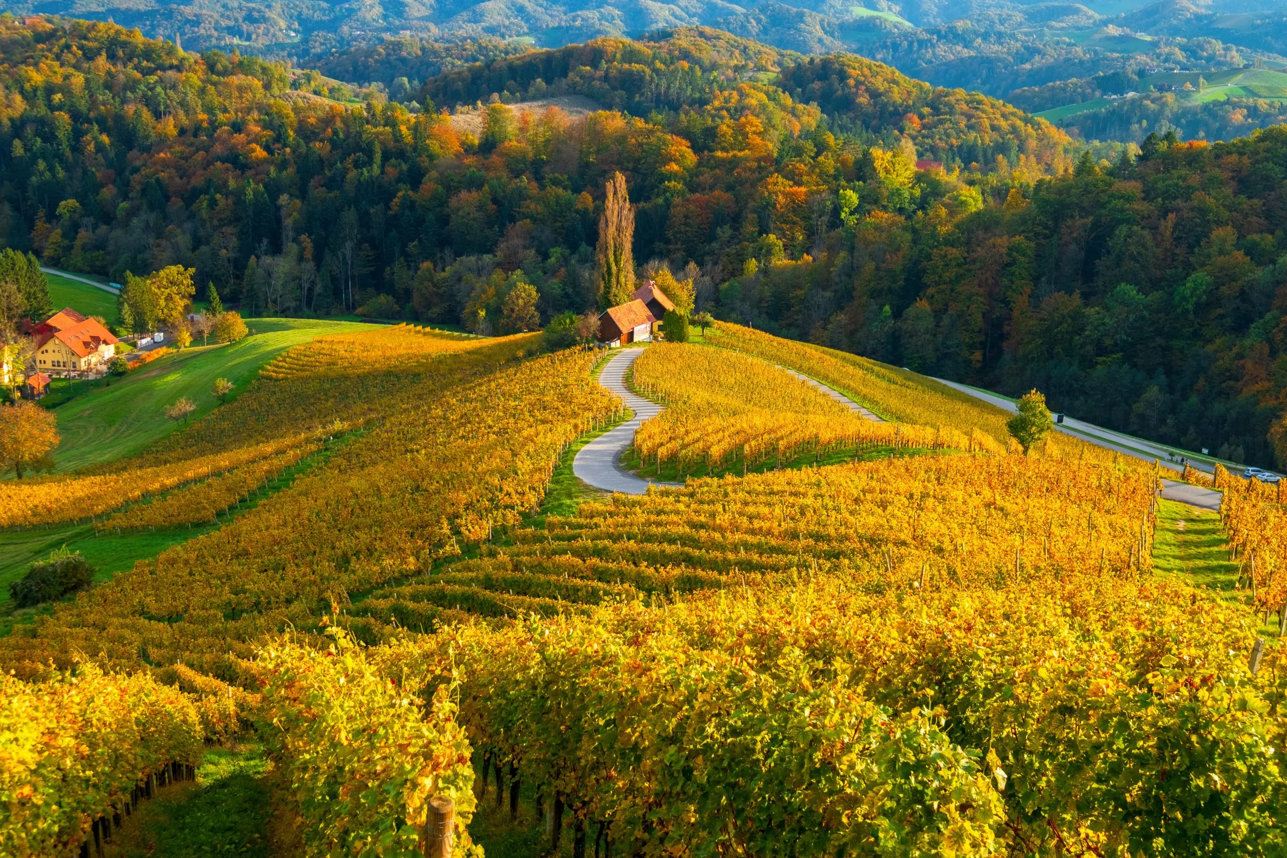 Heart road in Styria scaled