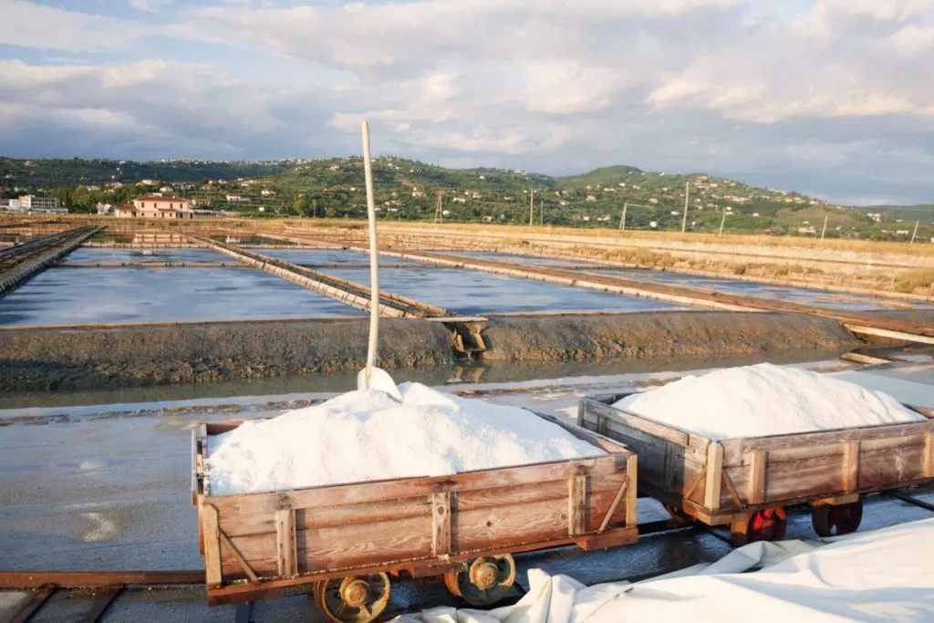 Secovlje salt pans on Slovenian coast 