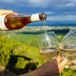Prova några av de bästa slovenska vinerna