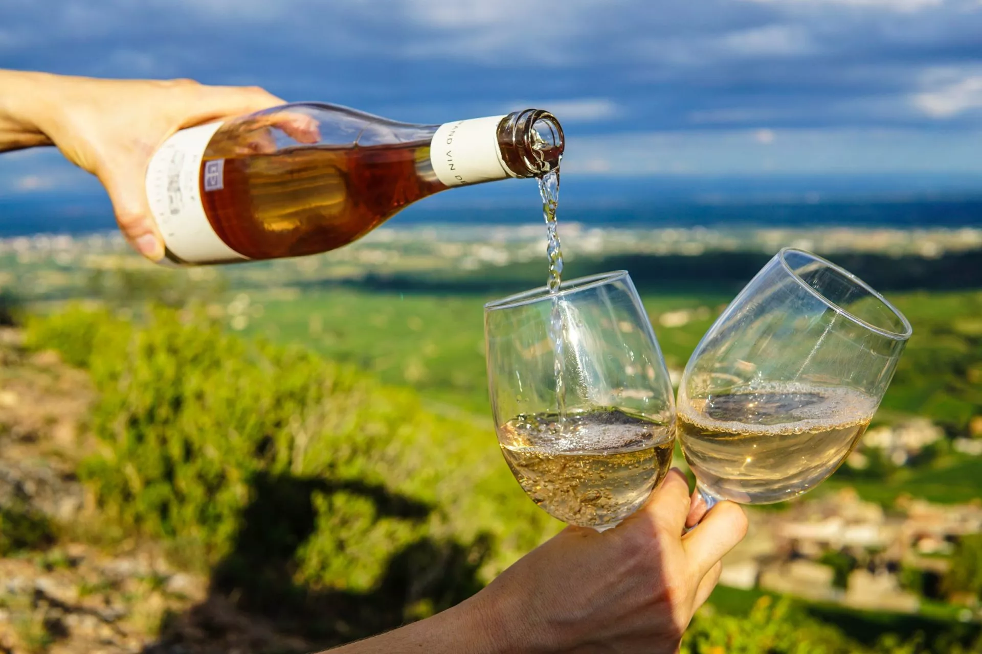 Prova några av de bästa slovenska vinerna