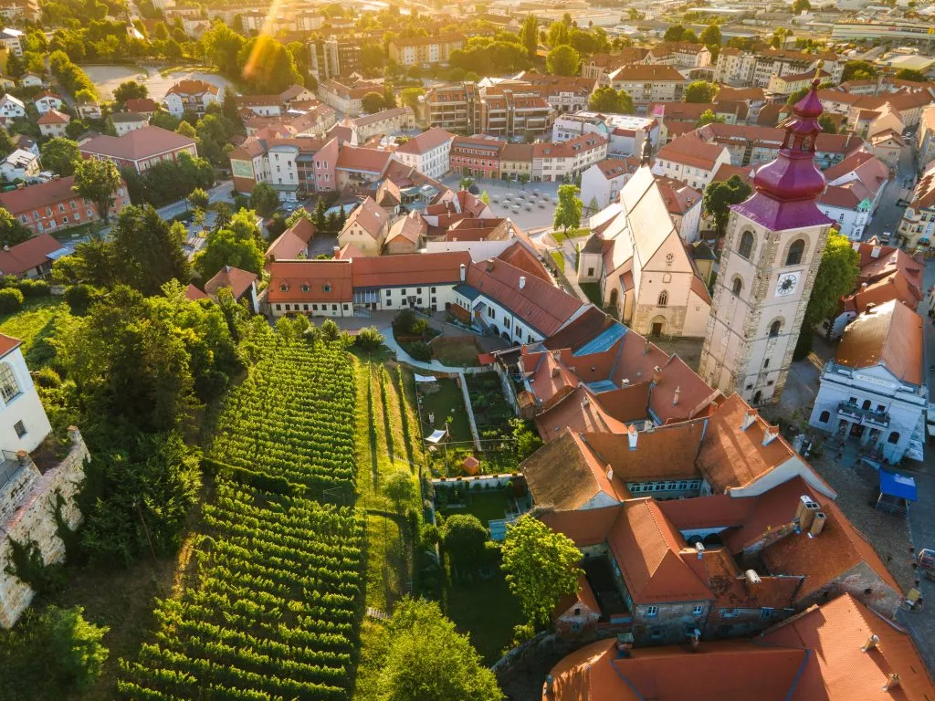 ptuj scaled