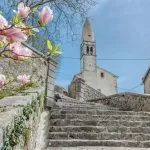 stanjel