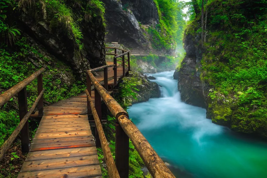 Discover the pristine Vintgar Gorge