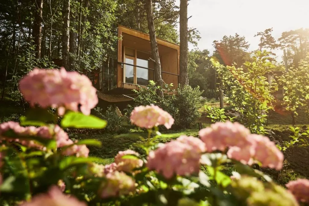vipava glamping roze